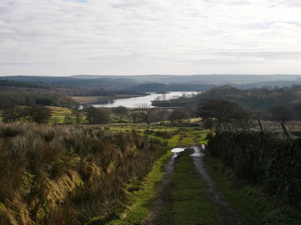 Ngiltere Nin Bowland Lancashire Ormanı Ndaki Hodder Vadisi Nin Başındaki — Stok fotoğraf