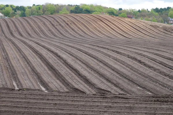 Ein Präzises Von Einem Traktor Gepflügtes Rollendes Feld Frühjahr Cheshire — Stockfoto