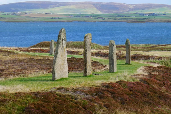 站在英国苏格兰奥克尼布罗德加环阳光下的石头 — 图库照片