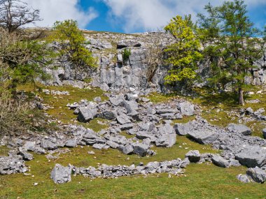 Güney Yorkshire Dales, İngiltere 'deki Ingleton' dan Ingleborough 'a giden yolda aşınmış kireçtaşı.