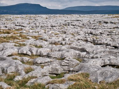 Kireçtaşı kaldırımı - suyla aşınmış bir kireçtaşı alanı - İngiltere 'nin Yorkshire Dales şehrinde, arka planda Pen-y-ghent ile
