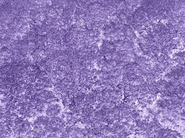 Orman ağacı tepe örtüsü Negatif mor / mor