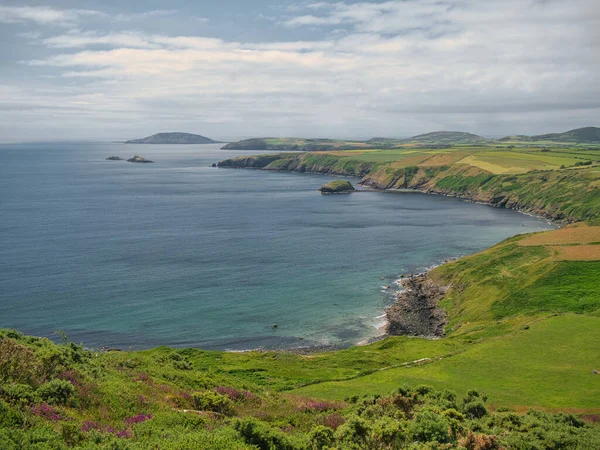 Porth Alwm Sur Côte Galloise Sentier Sur Péninsule Llyn Gwynedd — Photo