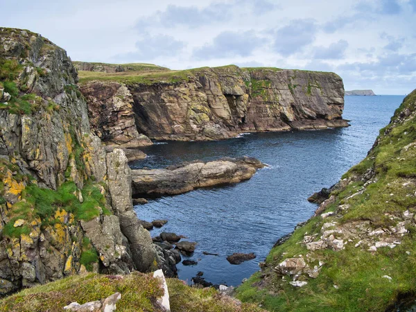 Falésias Arenito Costa Leste Shetland Perto Levenwick Mostrando Estratos Rochosos — Fotografia de Stock