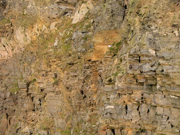 Ανεμοδαρμένοι Διαβρωμένοι Θαλάσσιοι Βράχοι Στο Hermaness Στο Νησί Unst Στο — Φωτογραφία Αρχείου