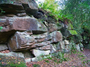 İngiltere 'nin Yorkshire Dales kentindeki Strid Ormanı' nın yanındaki Wharfe Nehri 'nin yanındaki kumtaşı Millstone Grit Grubu' ndaki Pendleian Çağı 'nın kumtaşı tortusu yaklaşık 328 ila 329 milyon yıl önce Karbonifer Dönemi' nde oluşmuştur..