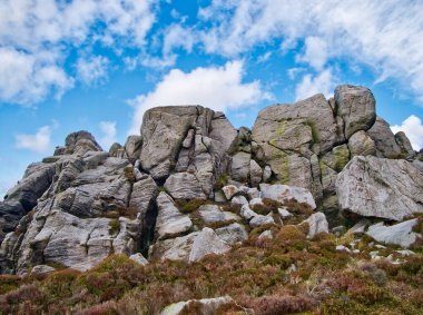 A rocky, millstone outcrop near Simon's Seat on Barden Fell in the Yorkshire Dales, England, UK - taken on a sunny day in Autumn, with moorland heather in the foreground. clipart