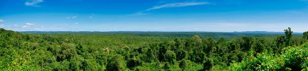 Плотный Лес Пышной Листвой Провинции Конг Камбодже — стоковое фото