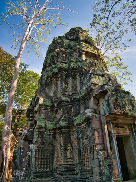 カンボジアのシェムリアップにあるアンコール遺跡公園のTa Prohmの寺院遺跡 — ストック写真