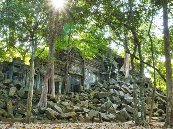 Masonry Being Moved Banyan Trees Growing Temple Ruins Unrestored Khmer — Stock Photo, Image