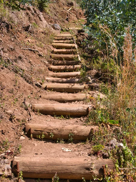 Hrubé Schody Dřevěnými Podpěrami Pěší Stezce Zalesněném Údolí Mezi Městem — Stock fotografie