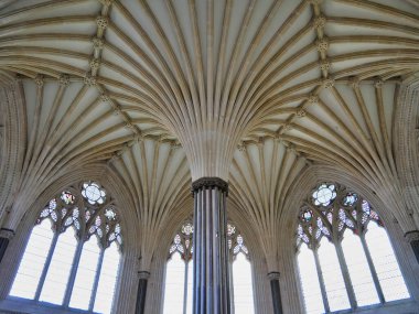 Wells Katedrali, Somerset, İngiltere 'deki Bölüm Evi' nin süslü, kubbeli tavanı..