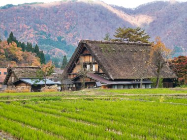 UNESCO 'daki geleneksel sazdan evler Japonya' daki Shirakawago 'nun Dünya Mirası Alanını listeledi.