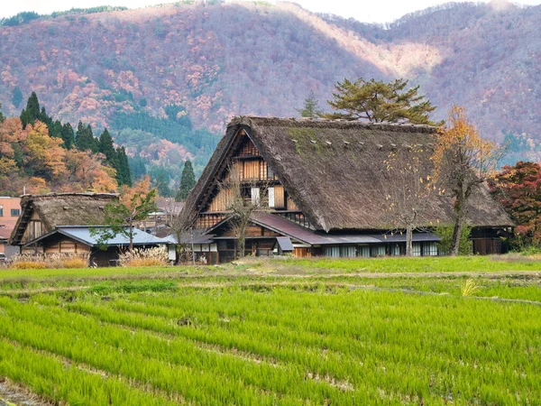 Casas Palha Tradicionais Unesco Listadas Patrimônio Mundial Shirakawago Japão — Fotografia de Stock