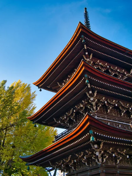 Pagode Três Andares Templo Budista Takayama Mostrando Rica Madeira Cedro — Fotografia de Stock