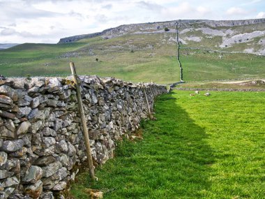 Yorkshire Dales 'te, Thwaite' e kadar uzanan kuru bir taş duvar var. Clapham yakınlarında.
