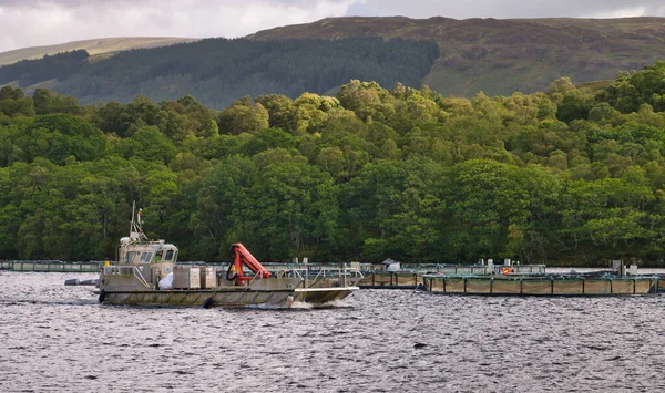 Acquacoltura Acquacoltura Loch Lochy Scozia Regno Unito Sullo Sfondo Una — Foto Stock