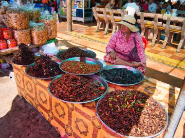  Kamboçya 'nın Kampong Cham eyaletindeki Skun marketinde satılık haşlanmış böcekler..