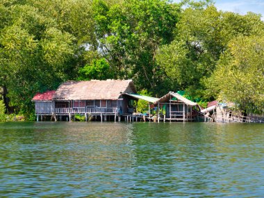 Kamboçya 'nın Koh Kong eyaletindeki ücra bir kırsal kesiminde nehir kenarında geleneksel bir durgun ev..