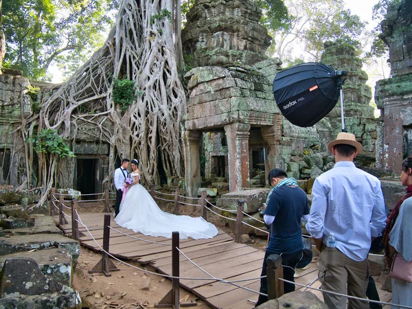 Una Pareja Tiene Fotos Previas Boda Tomadas Frente Árbol Banyan — Foto de Stock