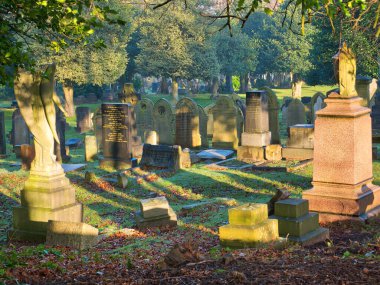 Birkenhead, İngiltere 'deki Flaybrick Memorial Gardens / Mezarlığı' nda eski mezar taşları. Öğleden sonra geç saatlerde çekilmiş kış güneşi..