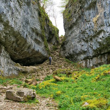 Bir aylak Trow Gill 'e bakıyor, İngiltere' nin Yorkshire Dales kentindeki Clapham yakınlarında bir erimiş su vadisi.