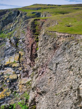 Shetland, İskoçya, İngiltere 'deki Fetlar adasındaki Funzie Ness üzerinde dik eğimli kaya tabakası - Bu alandaki kayalar Muness Phyllites oluşumuna - metaconglomerate - metamorfik kaya -