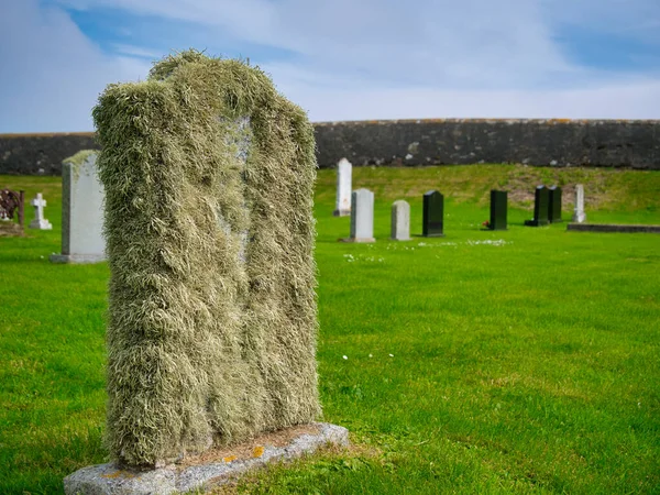 Ngiltere Skoçya Shetland Bir Mezar Taşında Sakal Yosunu Var — Stok fotoğraf