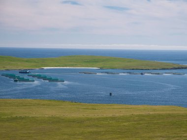 Shetland 'daki Unst adasında, Baltasound' da balık çiftçiliği - İngiltere 'nin kuzeyinde bir adalar takımadası.