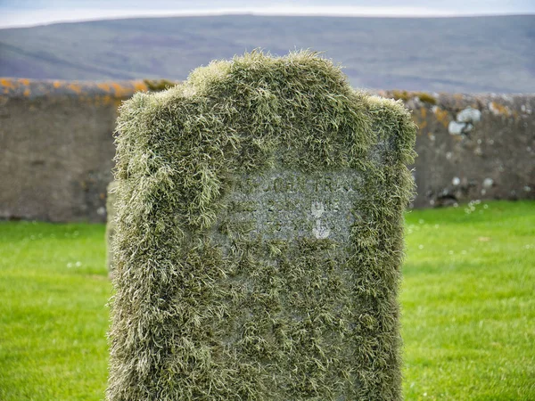 Ngiltere Skoçya Shetland Bir Mezar Taşında Sakal Yosunu Var — Stok fotoğraf