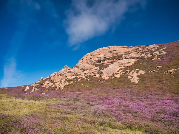 Afloramiento Granito Rojo Muckle Roe Shetland Reino Unido Estas Rocas — Foto de Stock