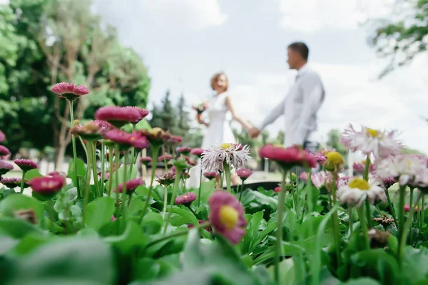 Esküvő Pár Áll Között Vadvirágok Lila Réten Tart Egy Kis — Stock Fotó