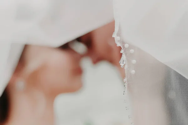 Véu Casamento Fundo Jovem Casal Feliz Lugar Para Inserir Texto — Fotografia de Stock