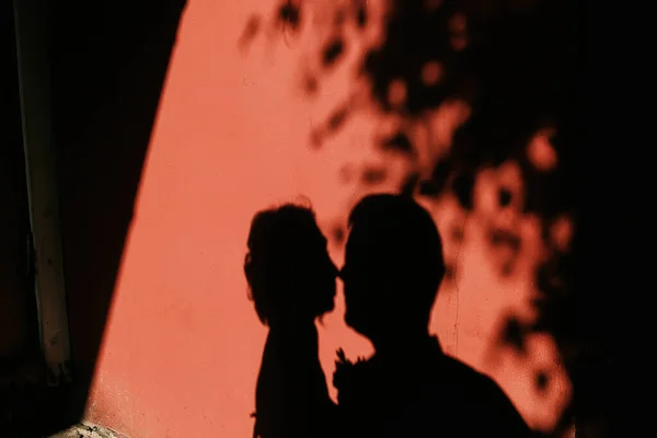 Silhouette Kissing Couple Red Wall Place Insertion Stock Picture