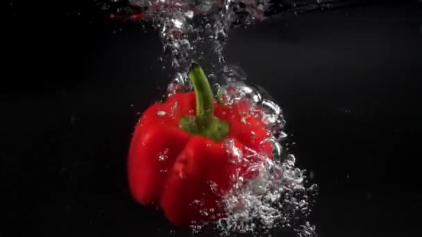 Een Grote Verse Rode Paprika Valt Het Water Met Spatten — Stockvideo