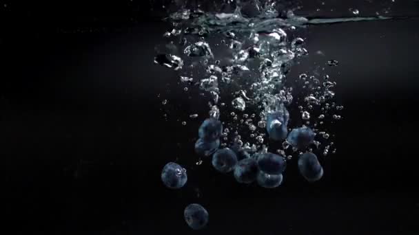 青い新鮮なブルーベリーの多くは 空気の泡の多くを残して ゆっくりと底に沈んで スプラッシュで水の中に落ちます スタジオは黒い背景で撃たれた 180 Fps — ストック動画