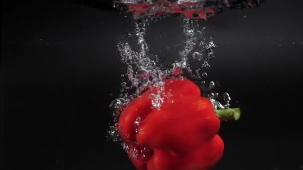 Een Grote Verse Rode Paprika Valt Het Water Met Spatten — Stockvideo