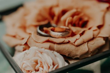 Alyanslar hediye kutusundaki çiçeklerin üzerinde durur. makro fotoğrafçılık.