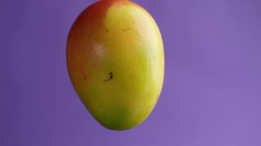 Büyük olgun mango mor bir arka planda döner. Stüdyo makro fotoğrafçılık