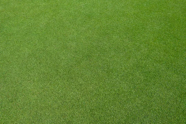 高尔夫绿场背景 — 图库照片
