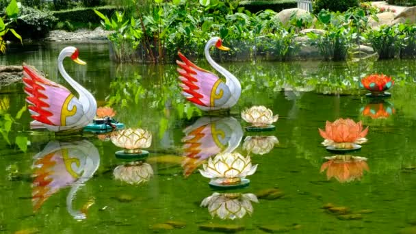 Lanterne Chinoise Cygne Lotus Dans Étang — Video