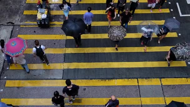 香港九龙 2018年6月05日 行人在雨中横过香港街的慢动作 — 图库视频影像