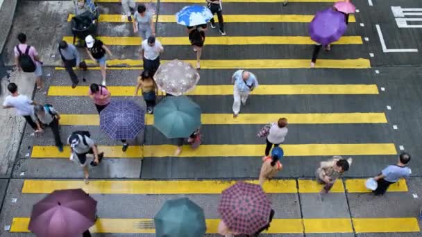 Kowloon Hong Kong Juni 2018 Voetgangers Oversteken Van Hong Kong — Stockvideo