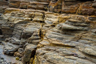 Tortul kaya..... Tung Ping Chau, Hong Kong Geopark katmanları