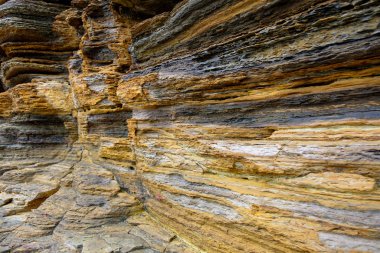 Tortul kaya..... Tung Ping Chau, Hong Kong Geopark katmanları