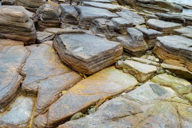 Tortul kaya..... Tung Ping Chau, Hong Kong Geopark katmanları
