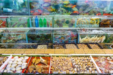 Deniz ürünleri pazar akvaryumda Sai kung Hong Kong
