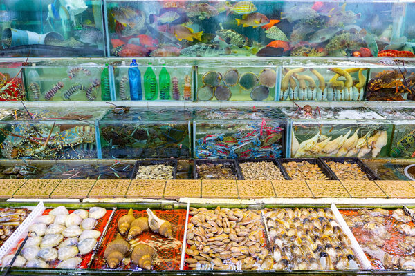 Seafood market fish tank in Sai kung Hong Kong
