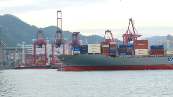 Hongkong China November 2018 Containerschiff Hongkong Terminal Den Kwai Tsing — Stockvideo