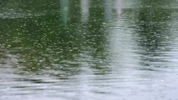 Краплі Дощу Рвуться Озері Відображенням — стокове відео